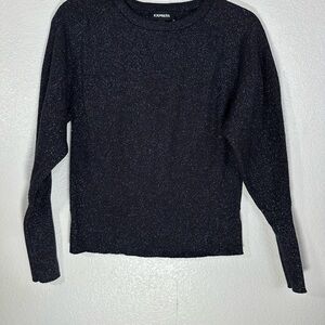 Express Glittery Black Pullover